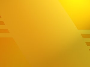 新品发布